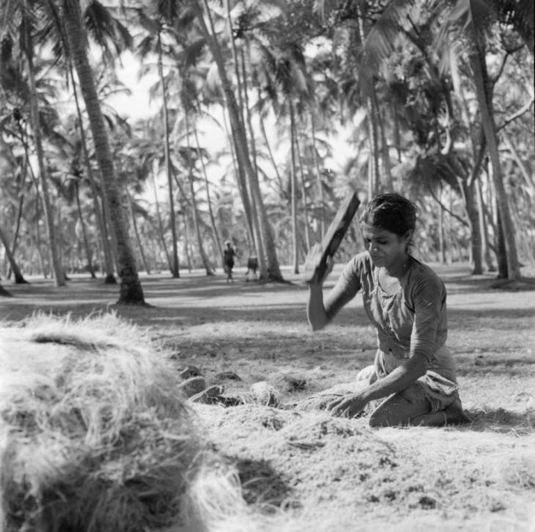 Old picture of manufacturing coir